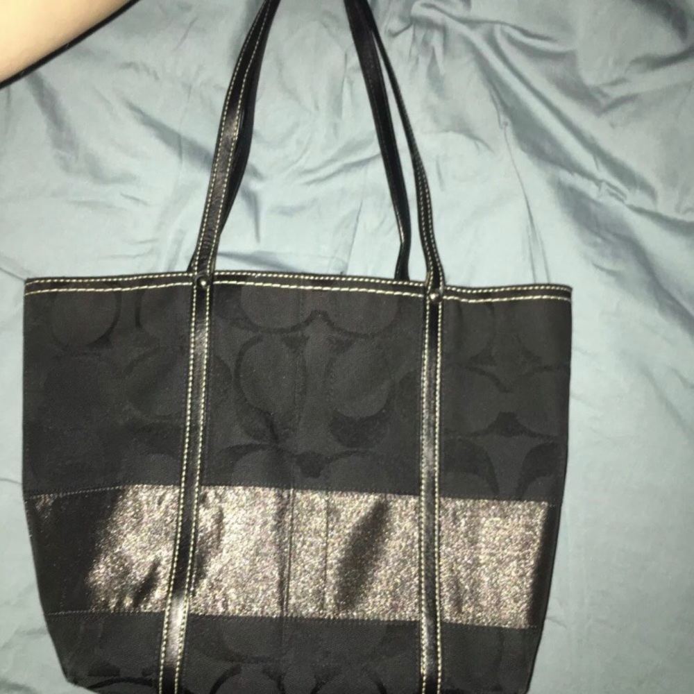Coach2007 Signature Stripe Purse & Matching Wallet